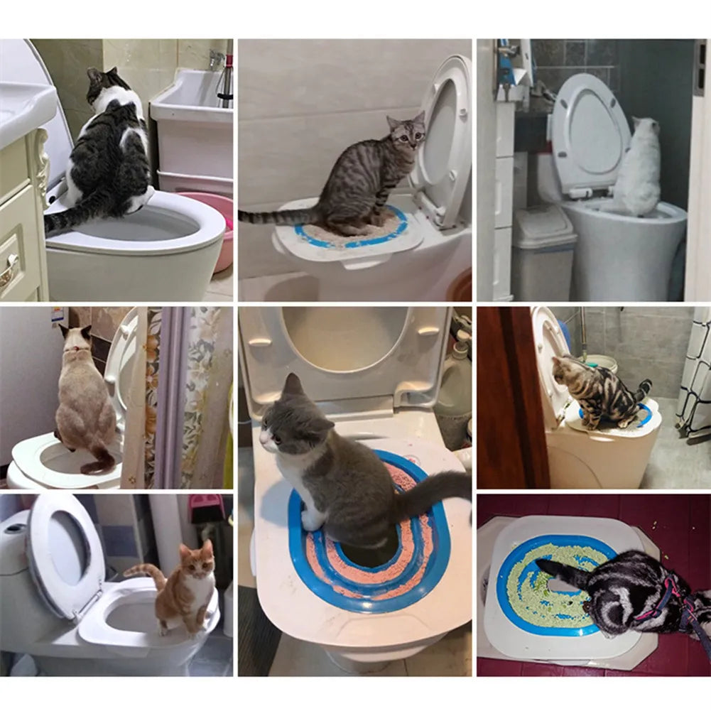 MeowLoo™ – Rolig och enkel toalettträning för katter