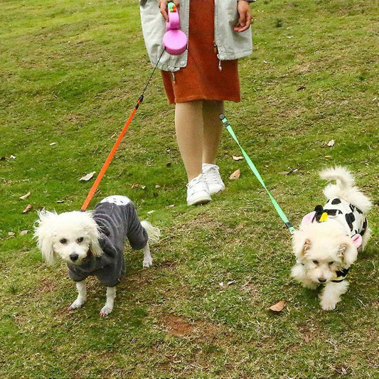 DogDuo – dubbelt hundkoppel