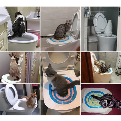 MeowLoo™ – Rolig och enkel toalettträning för katter