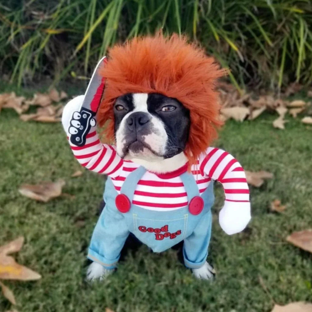 SpookyPaws™ – Halloweenkostym för hundar