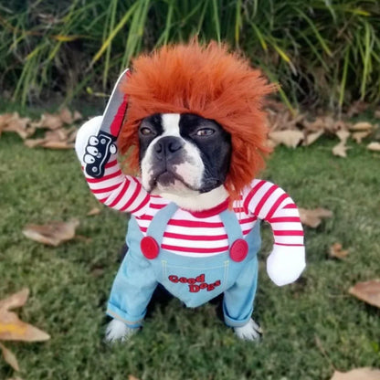 SpookyPaws™ – Halloweenkostym för hundar